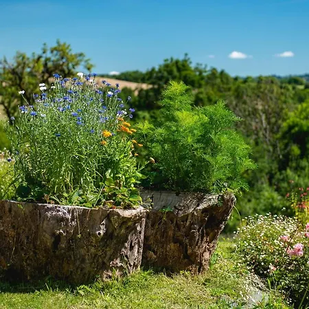 La Fournial Holiday home Lunac